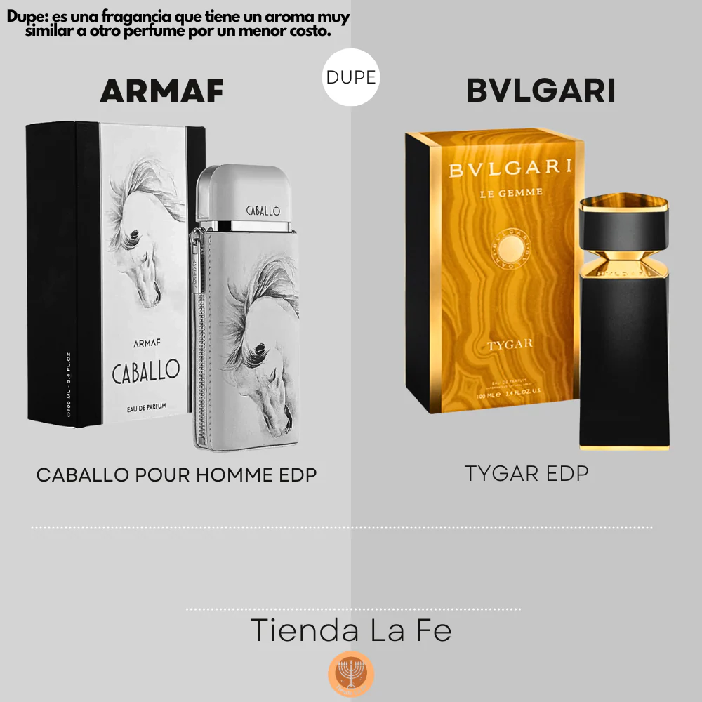 Armaf Caballo Men 100ml EDP